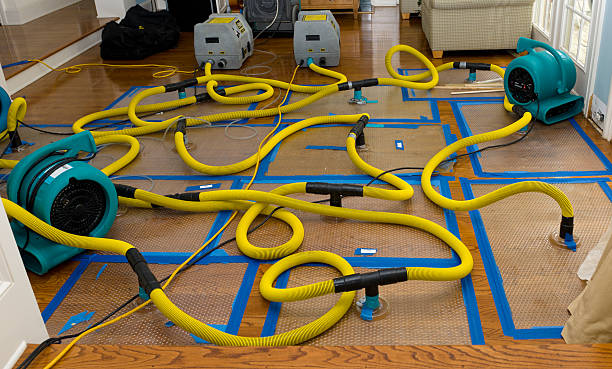 Professional Sewage Cleanup technician working in Winston, GA
